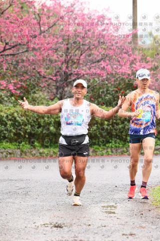 2026左岸竹東櫻花馬拉松Zhudong Sakura Marathon