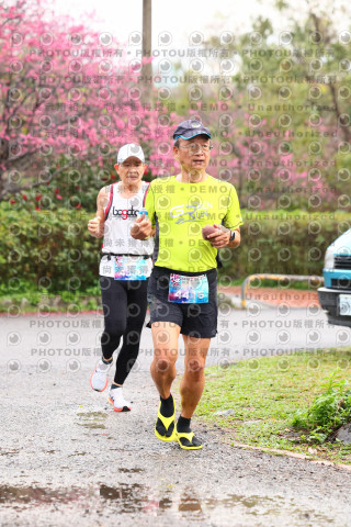 2026左岸竹東櫻花馬拉松Zhudong Sakura Marathon