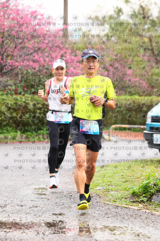 2026左岸竹東櫻花馬拉松Zhudong Sakura Marathon