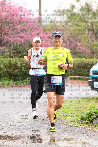2026左岸竹東櫻花馬拉松Zhudong Sakura Marathon