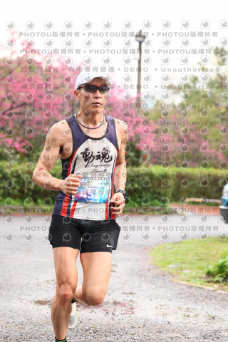 2026左岸竹東櫻花馬拉松Zhudong Sakura Marathon