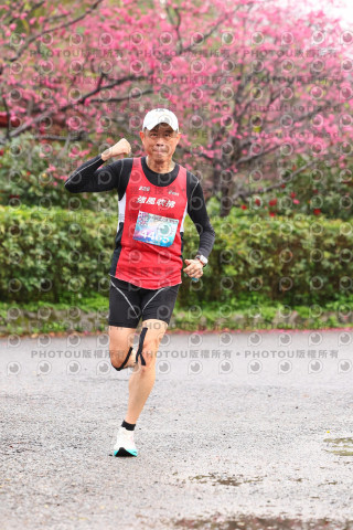 2026左岸竹東櫻花馬拉松Zhudong Sakura Marathon
