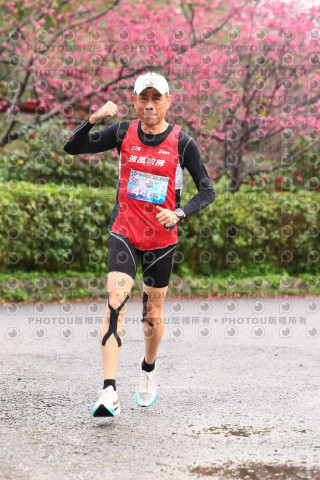2026左岸竹東櫻花馬拉松Zhudong Sakura Marathon