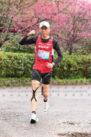2026左岸竹東櫻花馬拉松Zhudong Sakura Marathon