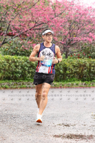 2026左岸竹東櫻花馬拉松Zhudong Sakura Marathon
