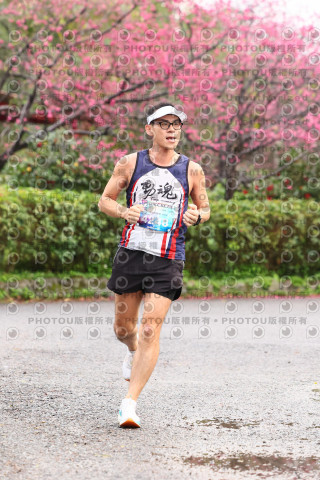 2026左岸竹東櫻花馬拉松Zhudong Sakura Marathon