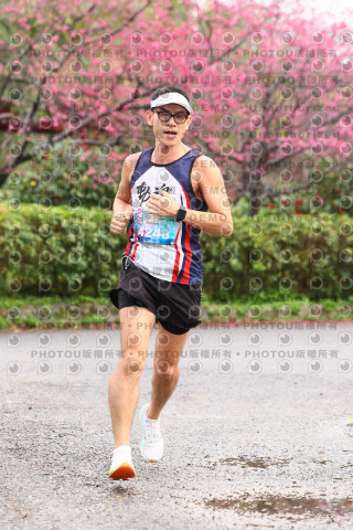 2026左岸竹東櫻花馬拉松Zhudong Sakura Marathon