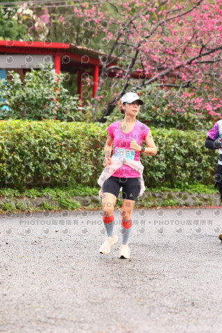 2026左岸竹東櫻花馬拉松Zhudong Sakura Marathon