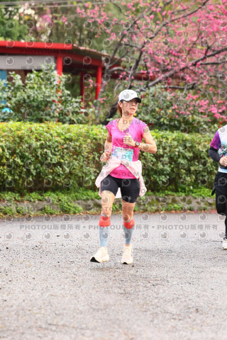 2026左岸竹東櫻花馬拉松Zhudong Sakura Marathon