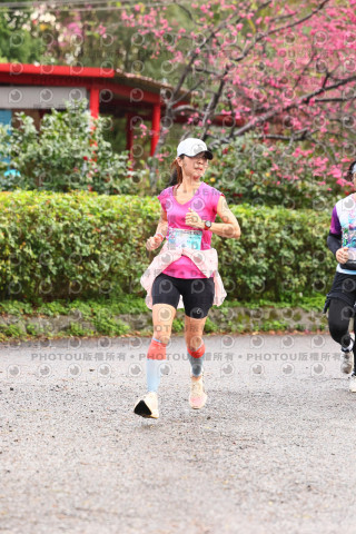 2026左岸竹東櫻花馬拉松Zhudong Sakura Marathon