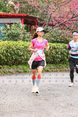 2026左岸竹東櫻花馬拉松Zhudong Sakura Marathon