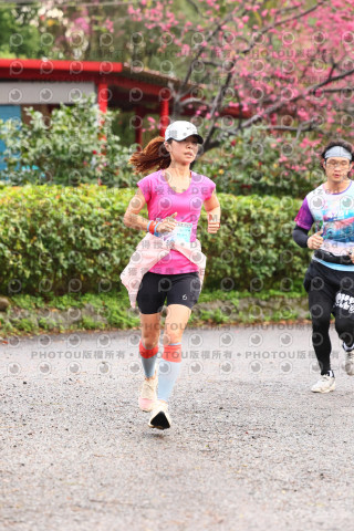 2026左岸竹東櫻花馬拉松Zhudong Sakura Marathon
