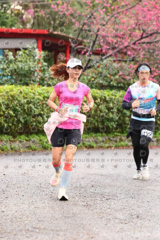 2026左岸竹東櫻花馬拉松Zhudong Sakura Marathon