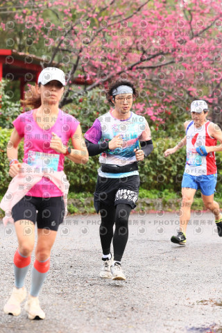 2026左岸竹東櫻花馬拉松Zhudong Sakura Marathon