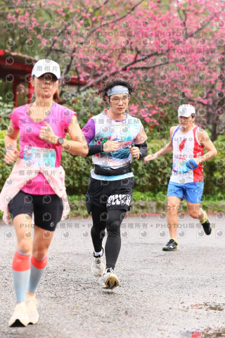 2026左岸竹東櫻花馬拉松Zhudong Sakura Marathon