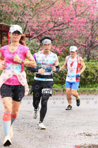 2026左岸竹東櫻花馬拉松Zhudong Sakura Marathon