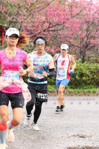 2026左岸竹東櫻花馬拉松Zhudong Sakura Marathon
