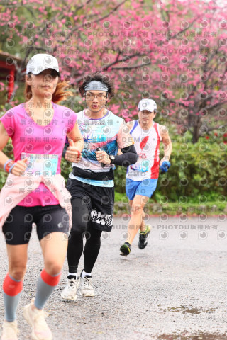 2026左岸竹東櫻花馬拉松Zhudong Sakura Marathon
