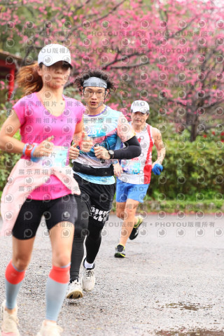 2026左岸竹東櫻花馬拉松Zhudong Sakura Marathon