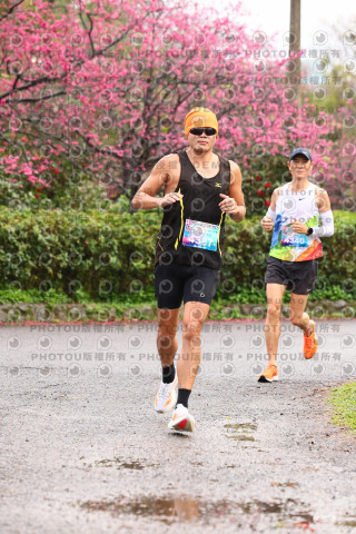 2026左岸竹東櫻花馬拉松Zhudong Sakura Marathon