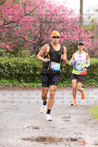2026左岸竹東櫻花馬拉松Zhudong Sakura Marathon