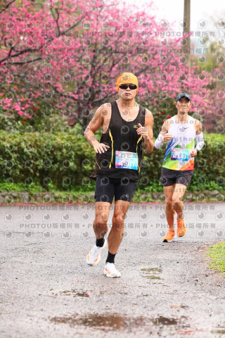 2026左岸竹東櫻花馬拉松Zhudong Sakura Marathon