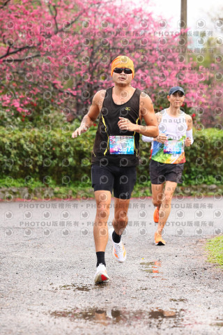 2026左岸竹東櫻花馬拉松Zhudong Sakura Marathon