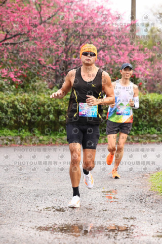2026左岸竹東櫻花馬拉松Zhudong Sakura Marathon