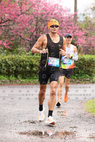 2026左岸竹東櫻花馬拉松Zhudong Sakura Marathon