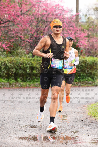 2026左岸竹東櫻花馬拉松Zhudong Sakura Marathon