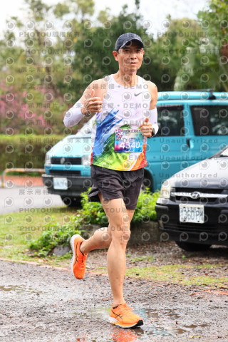 2026左岸竹東櫻花馬拉松Zhudong Sakura Marathon