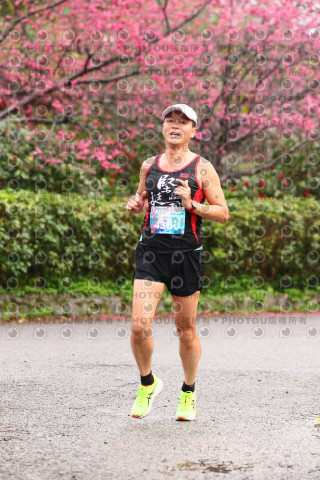2026左岸竹東櫻花馬拉松Zhudong Sakura Marathon
