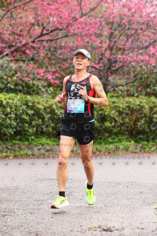 2026左岸竹東櫻花馬拉松Zhudong Sakura Marathon