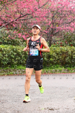 2026左岸竹東櫻花馬拉松Zhudong Sakura Marathon