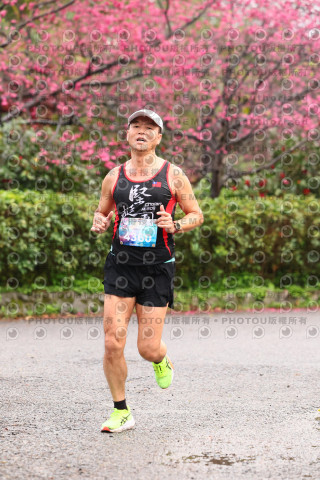 2026左岸竹東櫻花馬拉松Zhudong Sakura Marathon