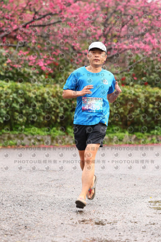 2026左岸竹東櫻花馬拉松Zhudong Sakura Marathon