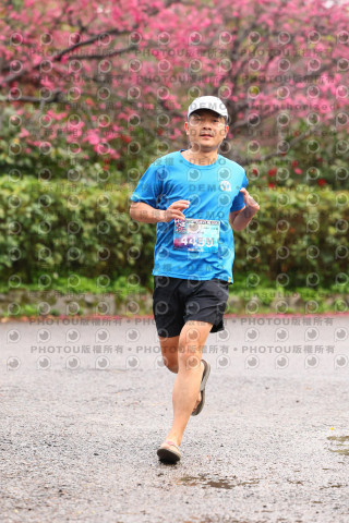 2026左岸竹東櫻花馬拉松Zhudong Sakura Marathon