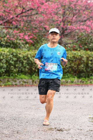 2026左岸竹東櫻花馬拉松Zhudong Sakura Marathon
