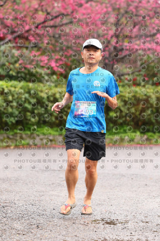 2026左岸竹東櫻花馬拉松Zhudong Sakura Marathon