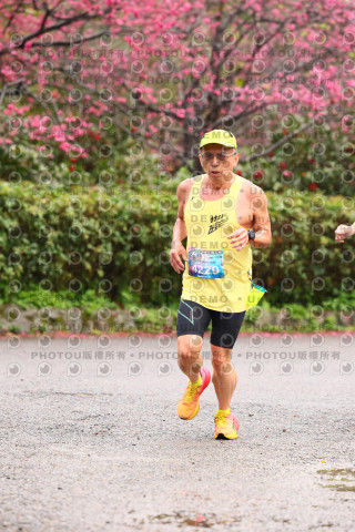 2026左岸竹東櫻花馬拉松Zhudong Sakura Marathon