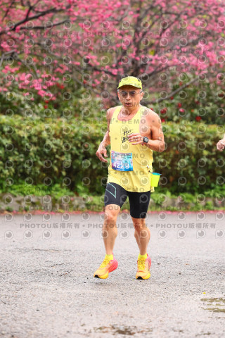 2026左岸竹東櫻花馬拉松Zhudong Sakura Marathon