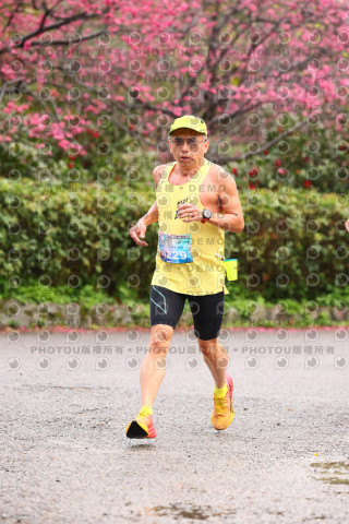 2026左岸竹東櫻花馬拉松Zhudong Sakura Marathon