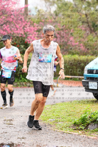2026左岸竹東櫻花馬拉松Zhudong Sakura Marathon