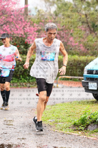 2026左岸竹東櫻花馬拉松Zhudong Sakura Marathon