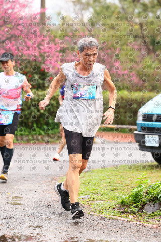 2026左岸竹東櫻花馬拉松Zhudong Sakura Marathon