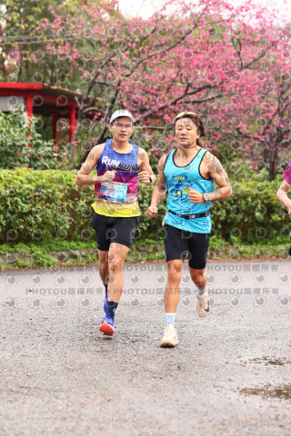 2026左岸竹東櫻花馬拉松Zhudong Sakura Marathon