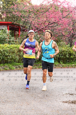2026左岸竹東櫻花馬拉松Zhudong Sakura Marathon