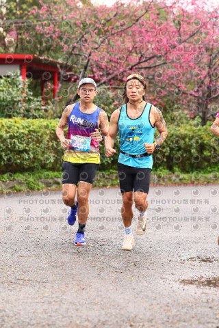 2026左岸竹東櫻花馬拉松Zhudong Sakura Marathon