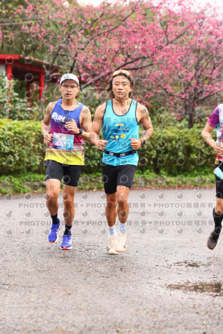2026左岸竹東櫻花馬拉松Zhudong Sakura Marathon