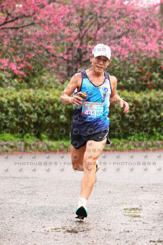 2026左岸竹東櫻花馬拉松Zhudong Sakura Marathon